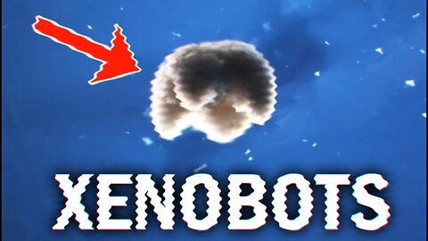 "Unraveling the Mysterious Fog Mutations Spreading Globally - Insights from JW TV"