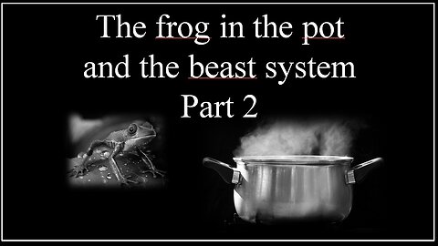 The frog in the pot and the beast system, Part 2