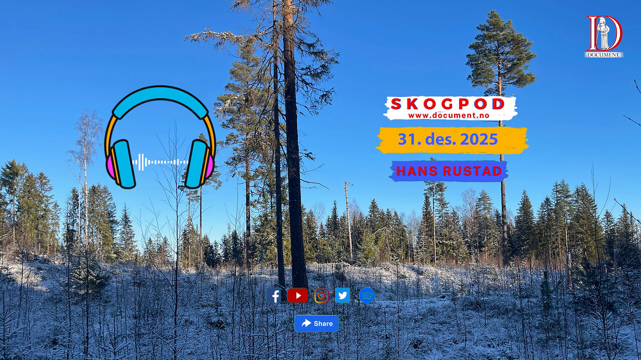 Skogpod 31. desember 2025