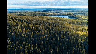 Lost in the Forests of Finland 🌲 | Nature’s Calm & Northern Beauty