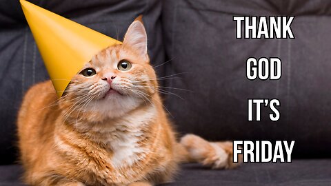 It's Friday. Let's Wrap This Week Up in Style