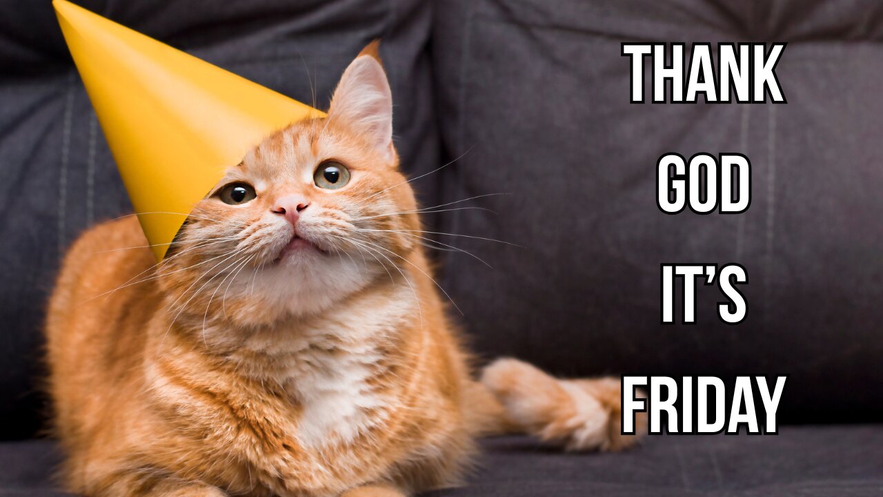 It's Friday. Let's Wrap This Week Up in Style