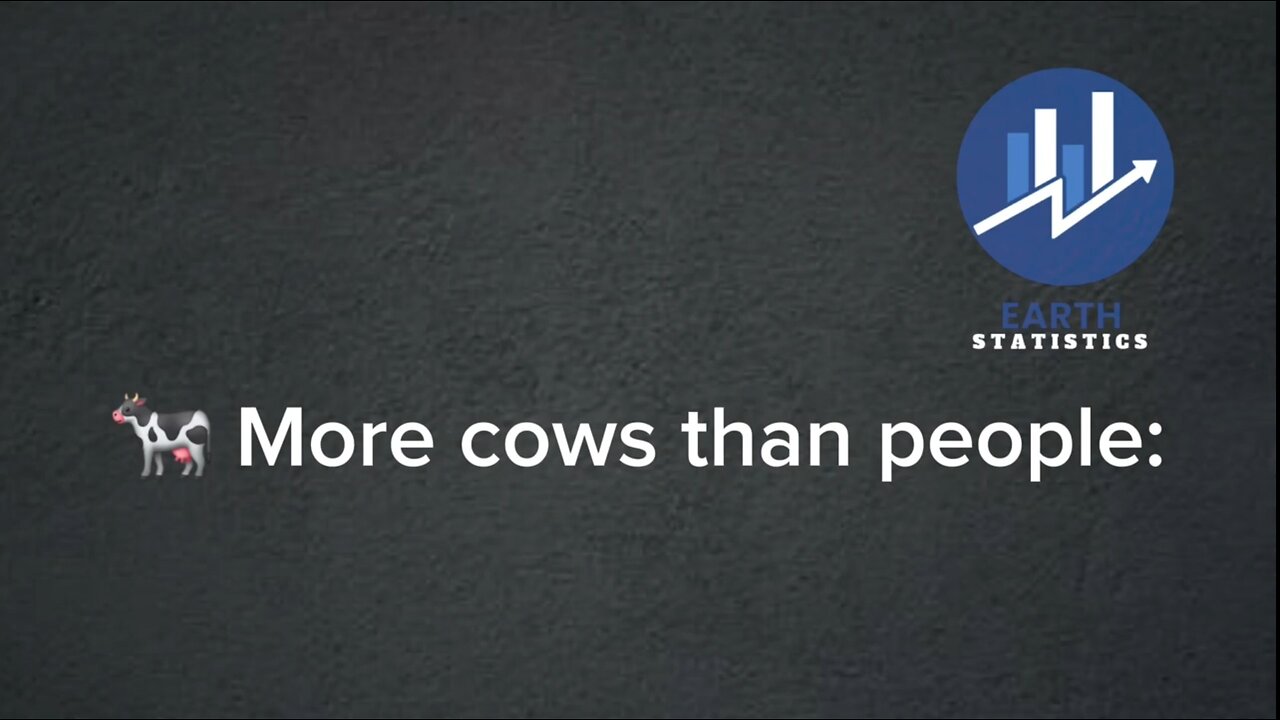 More cows than people