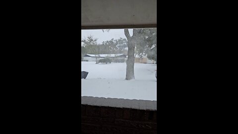 Snow in the city