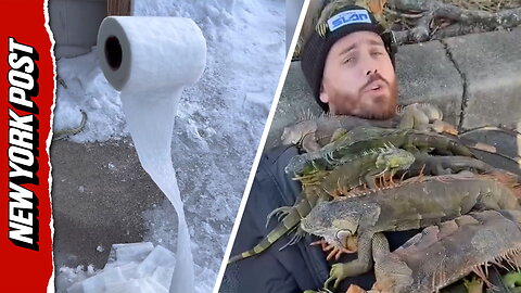 Wild scenes unfold across America amid freezing temps