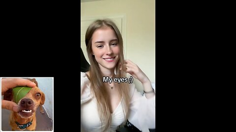 Funny videos compilation 17