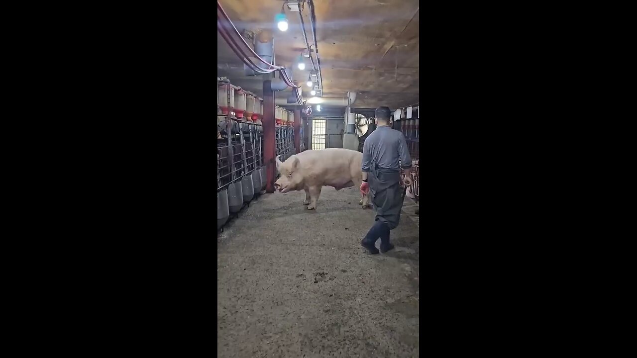 BIGGER THAN YOURS