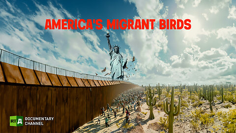 America’s Migrant Birds | RT Documentary