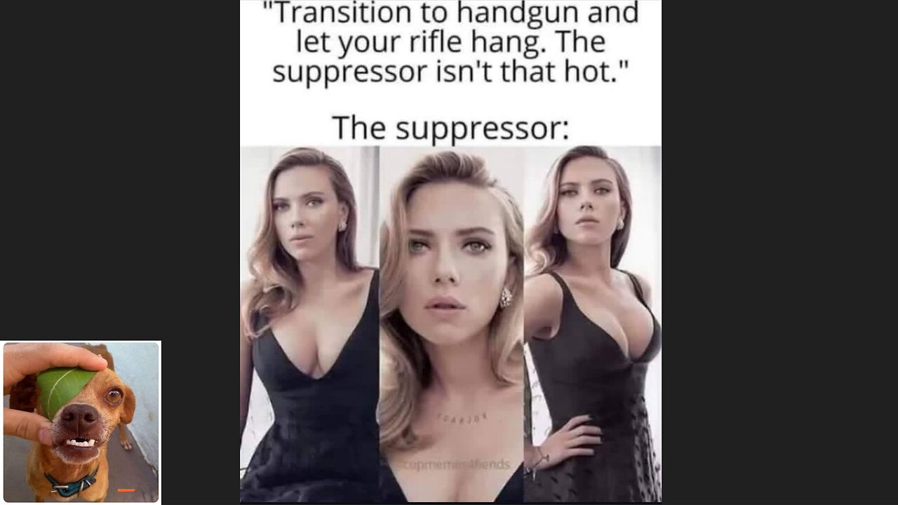 Memes That Will 99.0489% Make You Laugh. (e713)