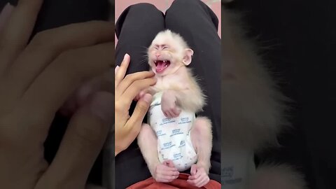 The world needs more smiles like this! Keep shining, little one! ✨🐵