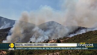Man_Killed_in_Spain_Wildfire_as_European_Heatwave_Intensifies___WION_Fineprint
