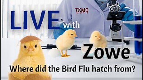 Where Did the Bird Flu Hatch From?
