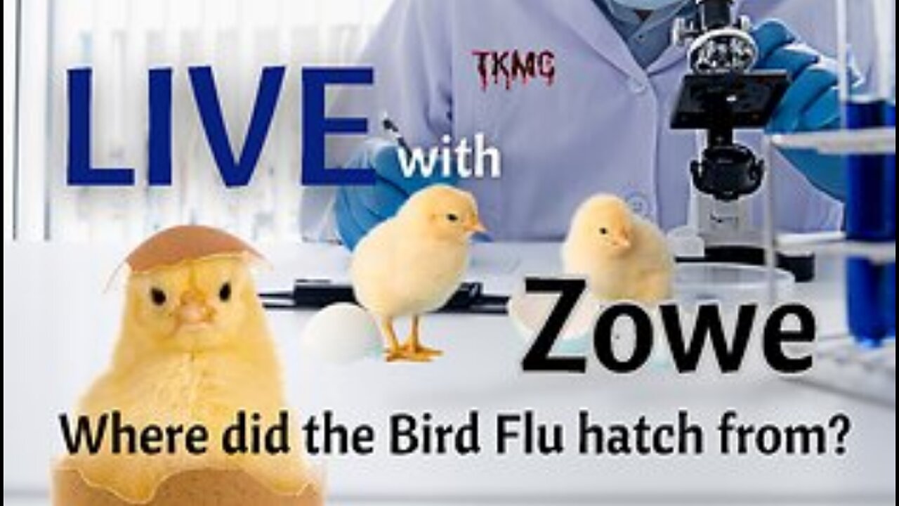 Where Did the Bird Flu Hatch From?