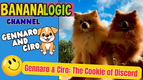 Gennaro & Ciro: The Cookie of Discord