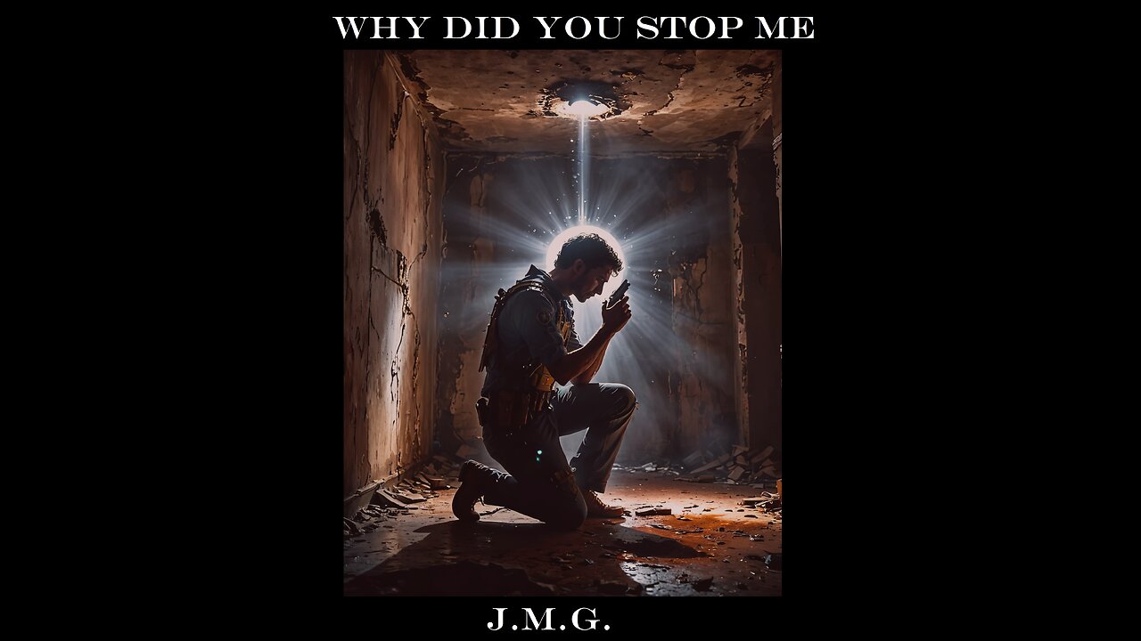 Why Did You Stop Me? by John M. Gunn