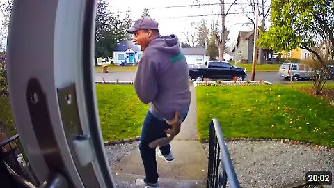 Funniest Animal Videos Ever 👀 Caught in 4k