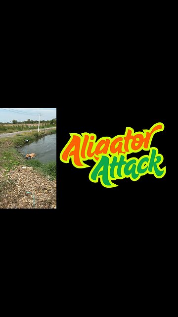 Aligator Attack