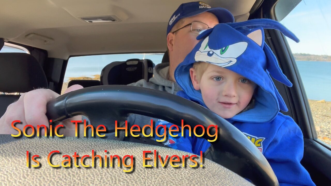 Elver Fishing With Sonic