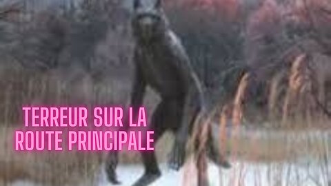 Dogman fait une apparition sur la route principale de l'Alaska (FRANÇAIS)