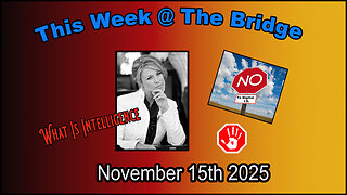 This Week At The Bridge WithTine Part 1 of 2 - What Is Intelligence