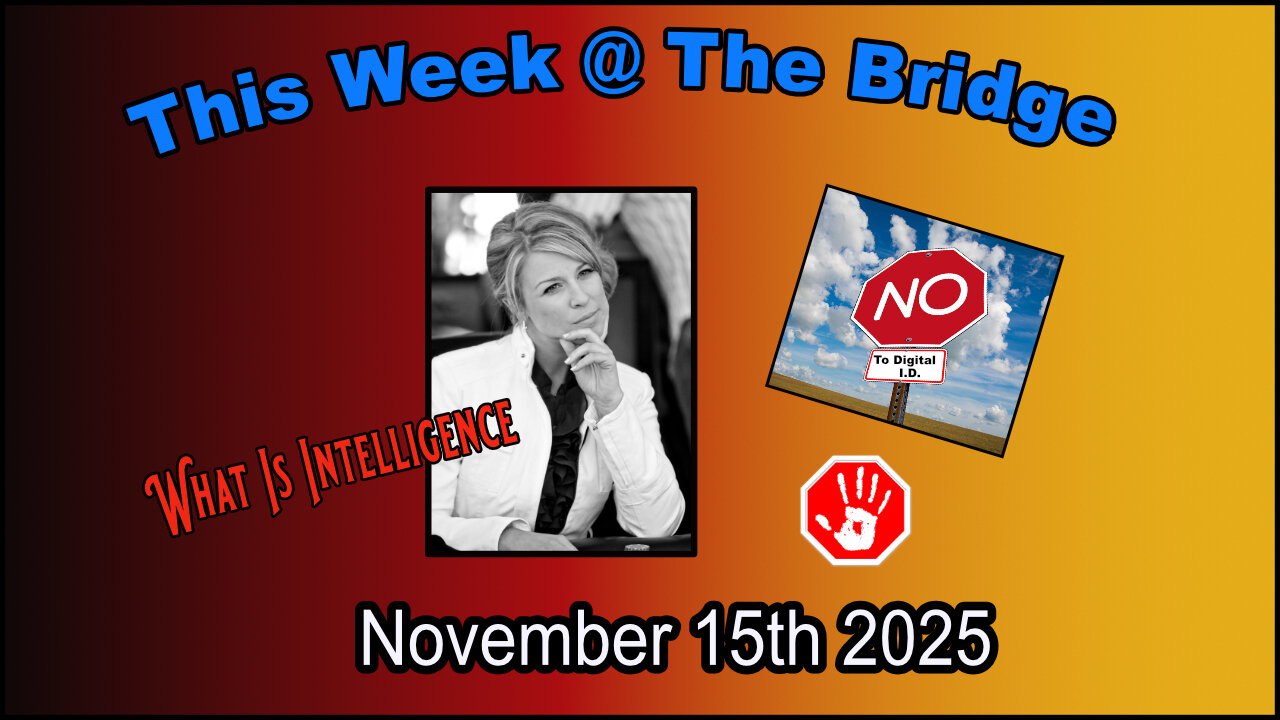 This Week At The Bridge WithTine Part 1 of 2 - What Is Intelligence