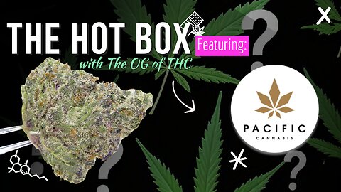 PACIFIC CANNABIS SUMMER RE-UP ⛱️ 💨 | THE HOT BOX 🔥📦