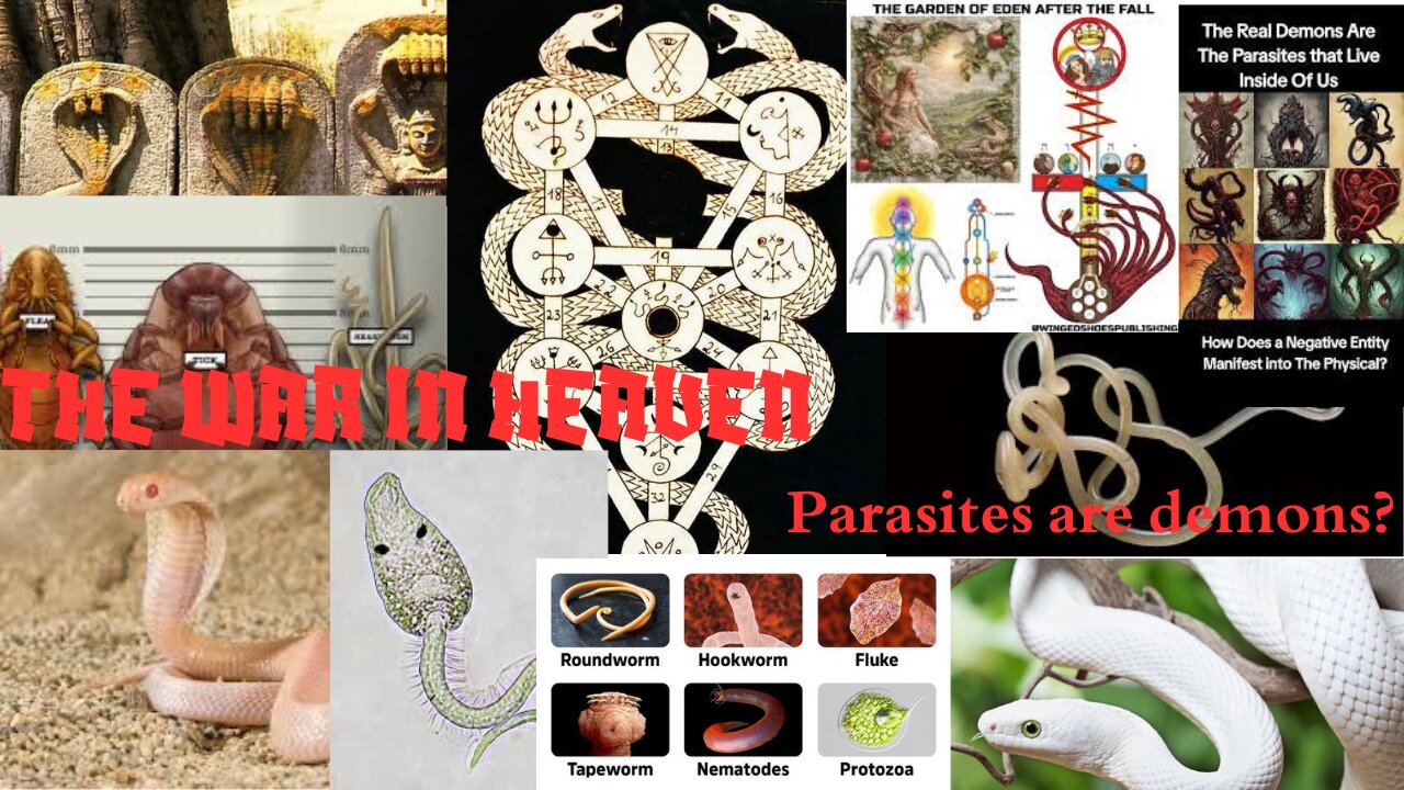 The war in Heaven - Parasites are Demons