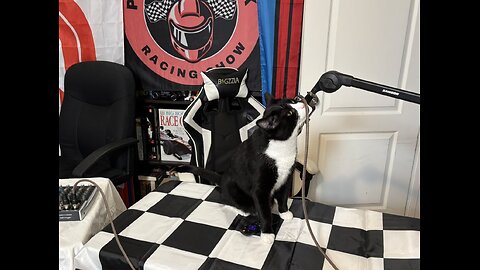 Cat Disrupts Filming of Sports News Show