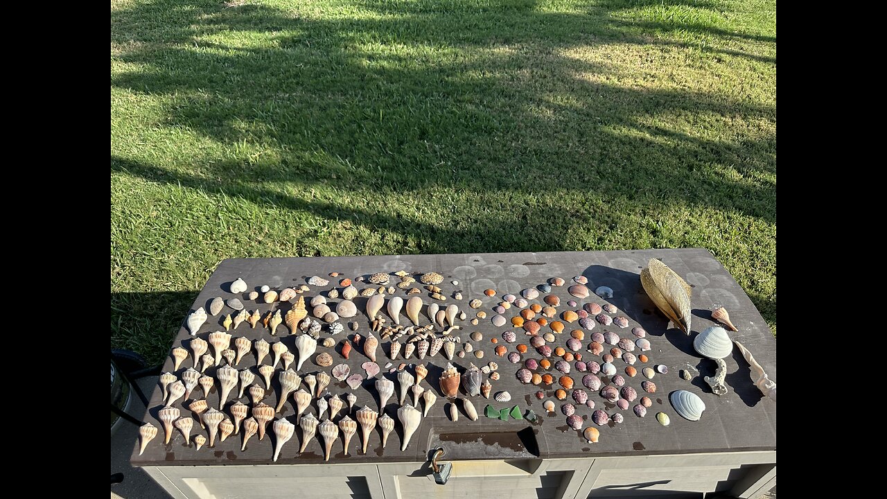 Beach Finds 4/10/2025 | 4K