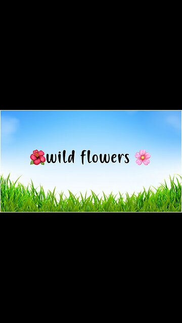 Enjoy a slow life 💐