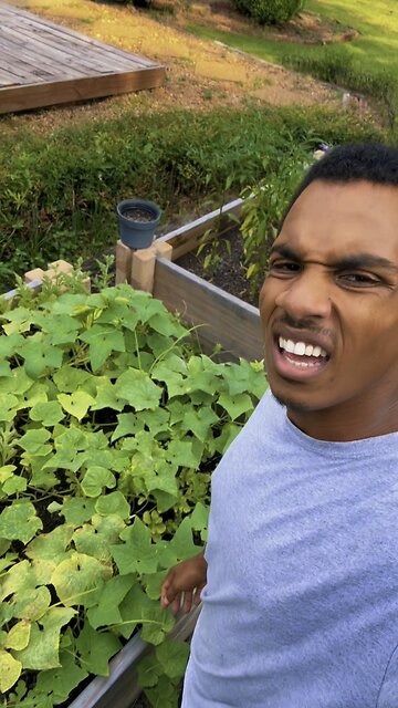 Grow cucumbers with me