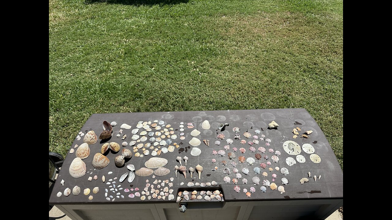 Beach Finds 4/9/2025 | 4K