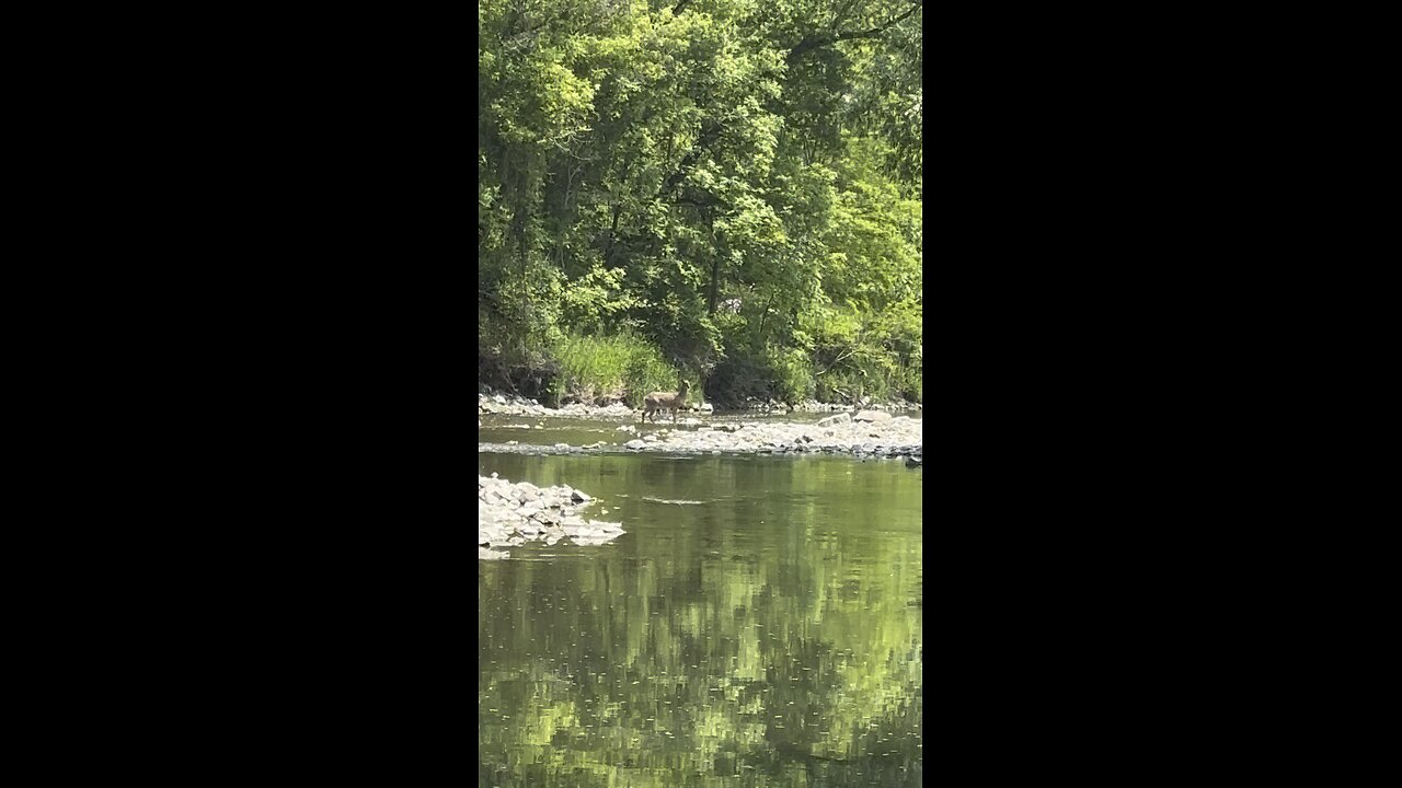Colonel Danforth Park