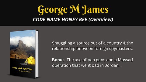 Code Name Honey Bee v (Overview) When spymasters start lying to each other...