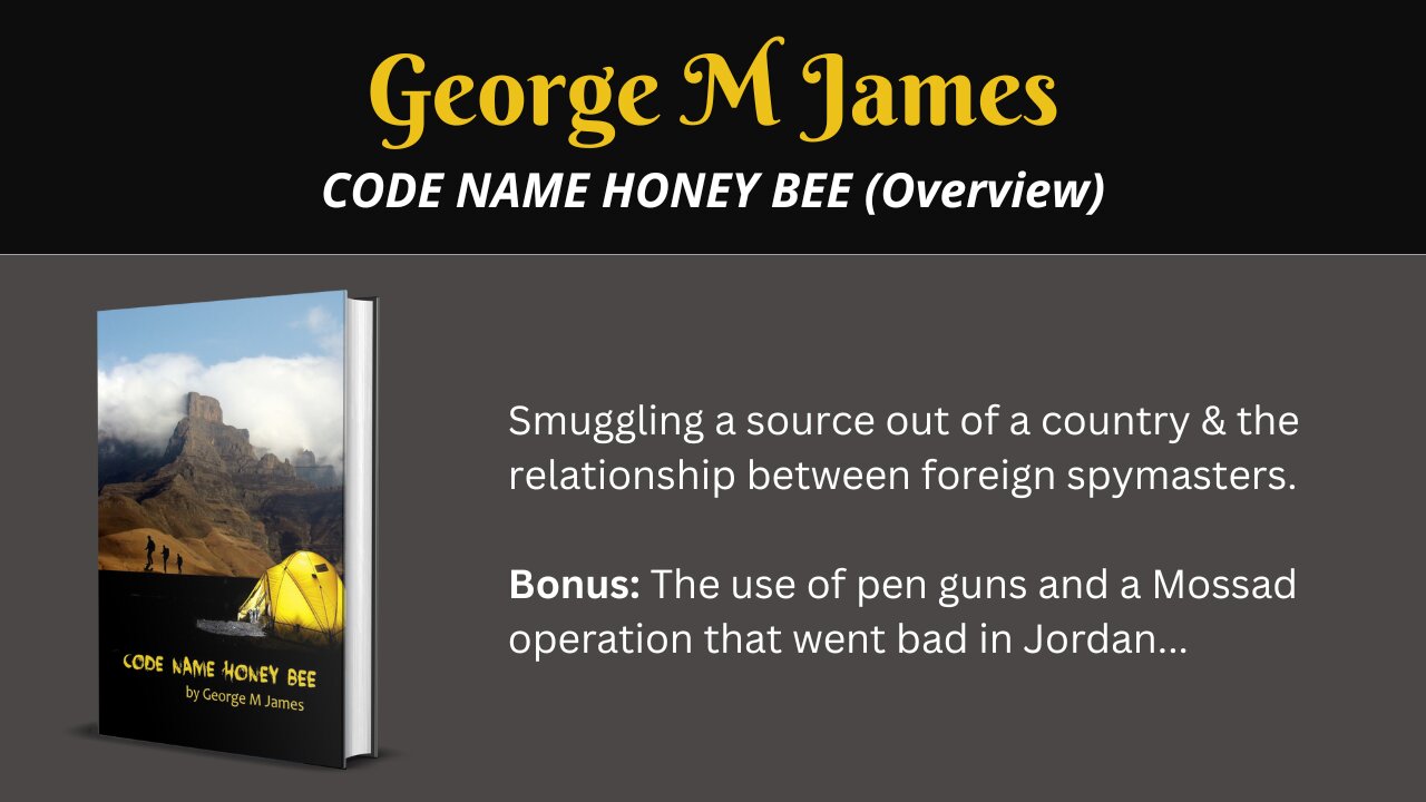 Code Name Honey Bee v (Overview) When spymasters start lying to each other...
