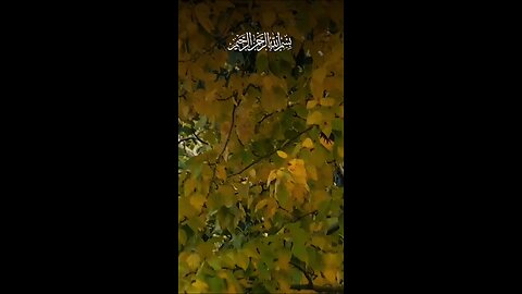 Allah ka zikr kia kro
