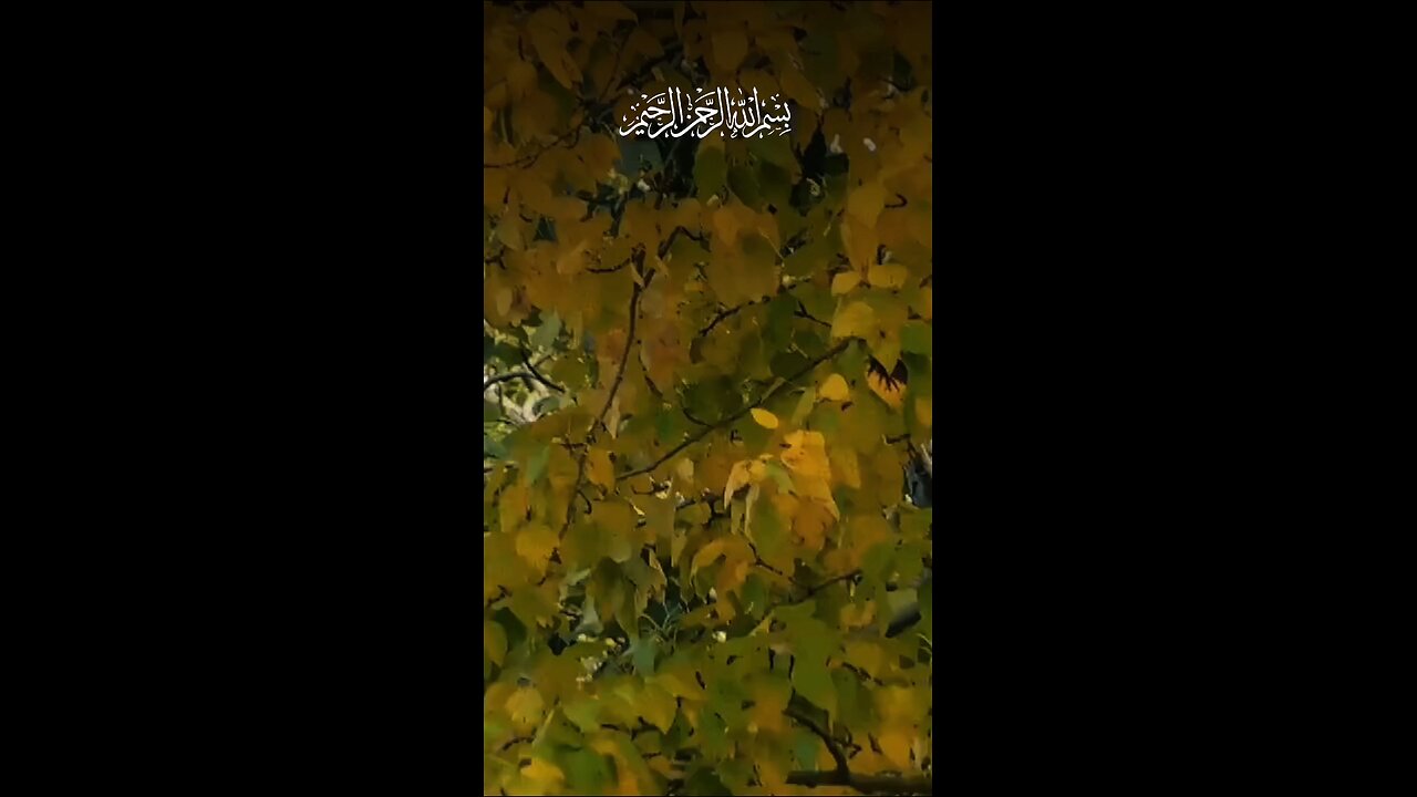 Allah ka zikr kia kro