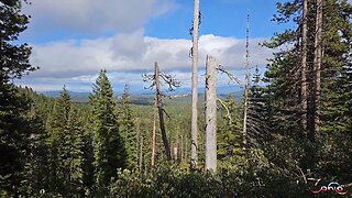 Hiking With PhLo 8