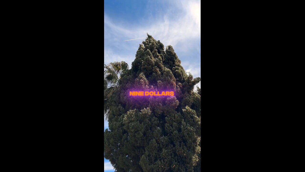 ↓Food is art — but your captions read like receipts.