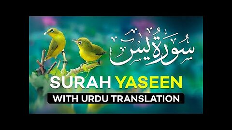 Most beautiful recitation of Surah Yaseen (Yasin) سورة يس : Quran Recitation