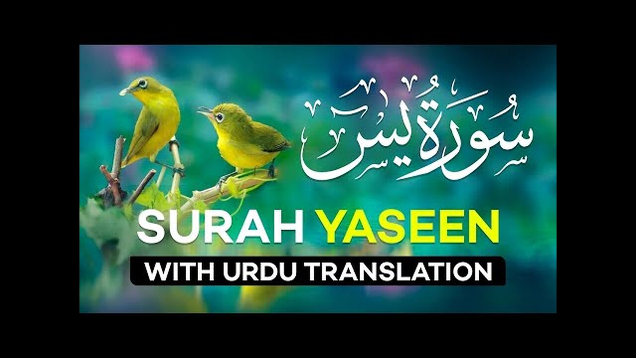 Most beautiful recitation of Surah Yaseen (Yasin) سورة يس : Quran Recitation