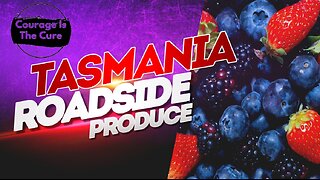 PODCAST RISE | TASMANIA ROADSIDE PRODUCE | 17 November 2025