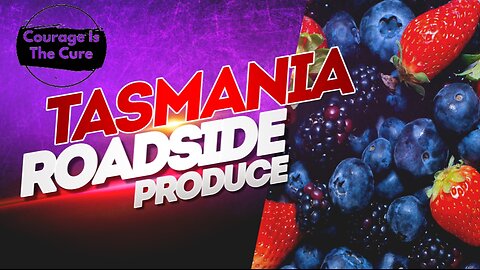 PODCAST RISE | TASMANIA ROADSIDE PRODUCE | 17 November 2025