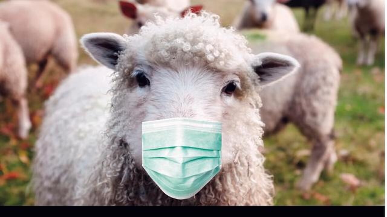 Five Years On: Remember When Hospitals Were Empty During A ‘Pandemic’ - Gemma O'Doherty