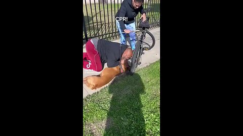 A man performs CPR on a dog, achieving a miraculous rescue and saving the day
