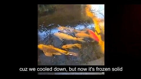 WHAT IN THE ICE STORM IS GOING ON HERE 🥶