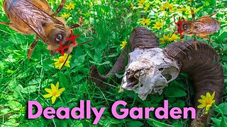 Is Your Garden Killing Insects?