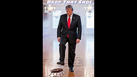 Drop That Shoe! (Democrat Stomp)