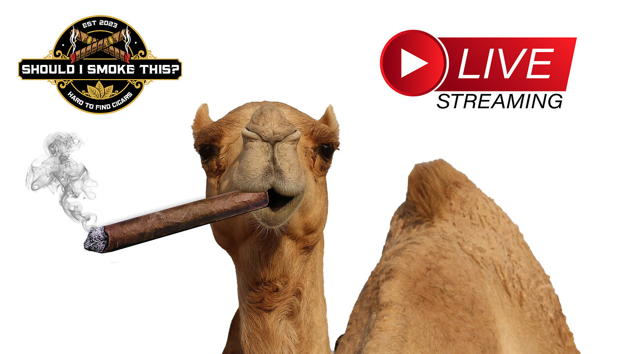 HUMP DAY CIGARS LIVE with Sanj Patel & The Industry Killers!