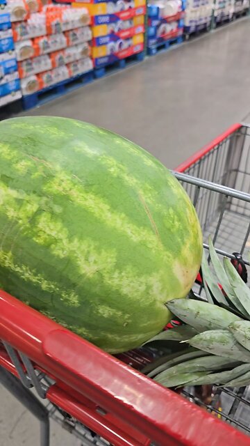 #costco #groceryshopping #rotisseriechicken #pineapple #watermelon #shoppingcart